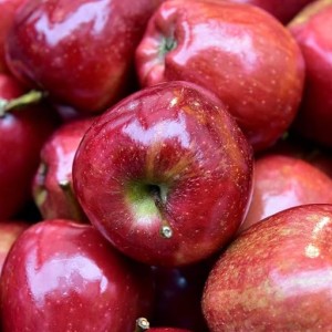 #0479 top red delicious